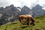 Dal Rif. Mulaz al Sasso Arduini e trekking del Cristo Pensante con anello del Monte Castellazzo il 14 agosto 1017 - FOTOGALLERY